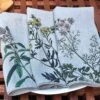 Oldenhof Herbs Servet 45 X 45 Cm Linnen 6 Stuks 1 Oldenhof Herbs Servet 45 X 45 Cm Linnen 6 Stuks -Keuken Benodigdheden Winkel linen napkins spice herbs floral linoroom 6