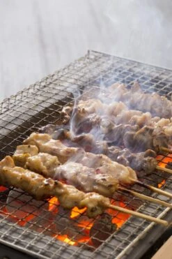 Oldenhof Konro Grill Diatomite Japanse Barbecue B-9 31 X 23 X 20 Cm 7 Oldenhof Konro Grill Diatomite Japanse Barbecue B-9 31 X 23 X 20 Cm -Keuken Benodigdheden Winkel shutterstock 556753543 2
